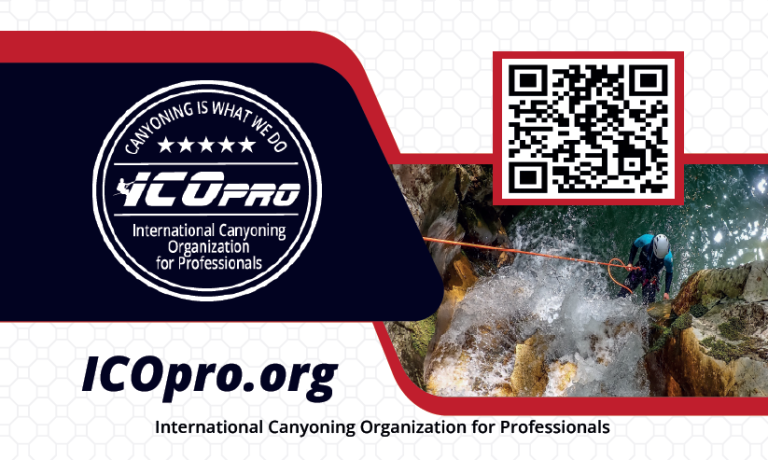 ICOpro pro card front