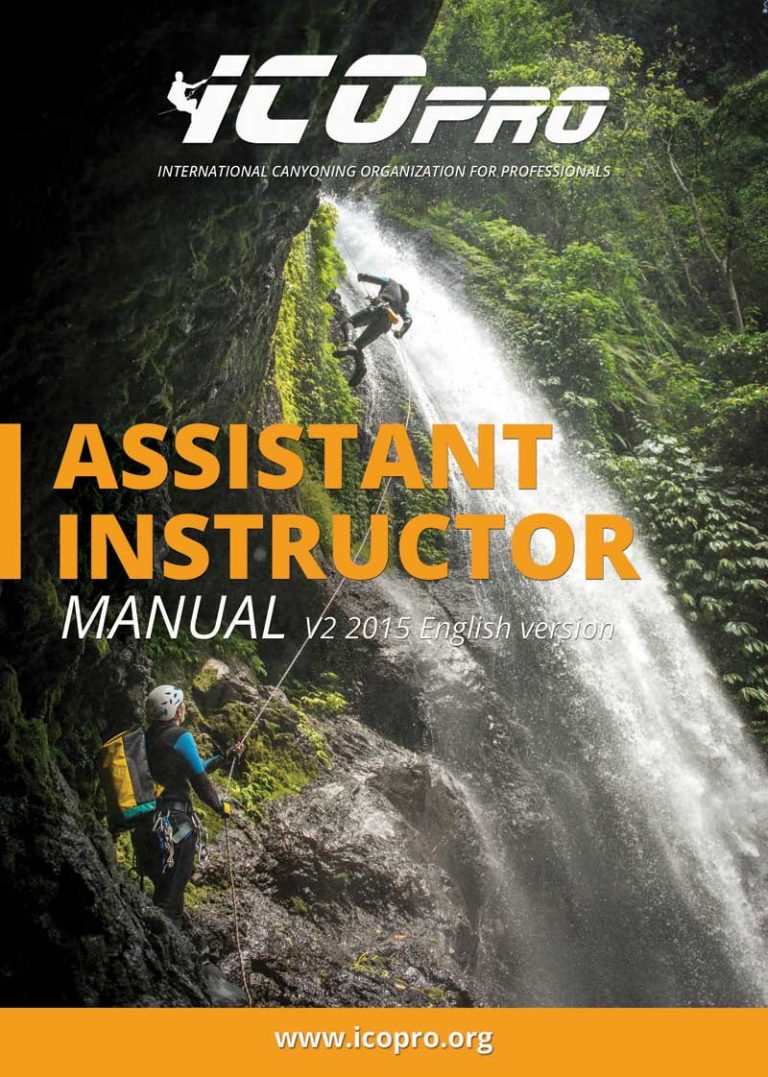 Manual-AIN-ICOpro